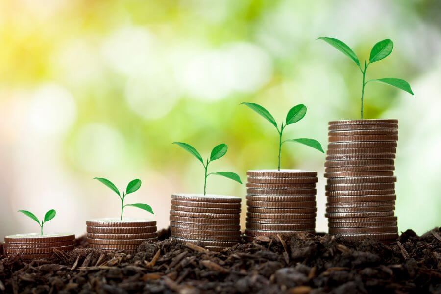 Blog Image 900 x 600 px 6 1