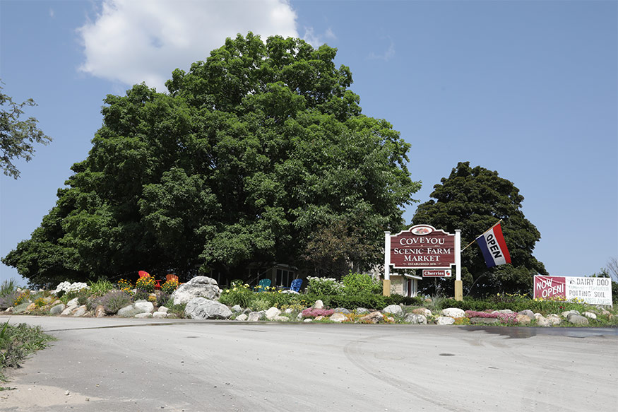 coveyou scenic farm market front