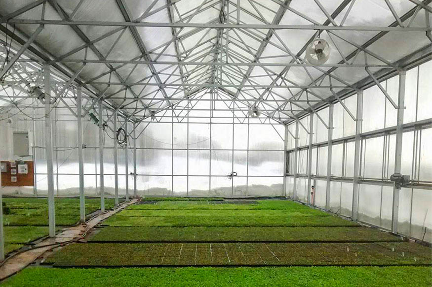 Coveyou Scenic Farm Market coveyou scenic farm market greenhouse long view