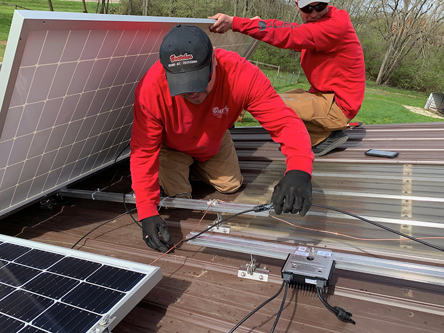 houchin family alpacas 1