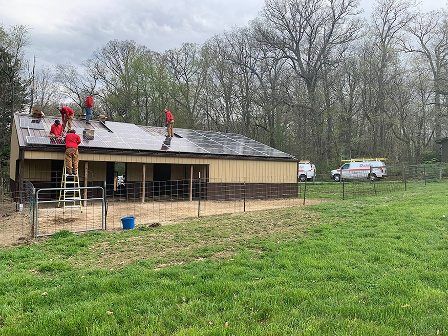 houchin family alpacas 2
